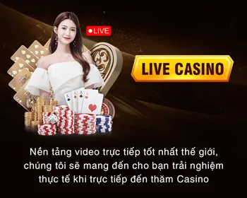 Hình ảnh CEO của công ty